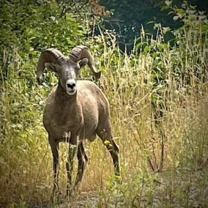 talking to strangers